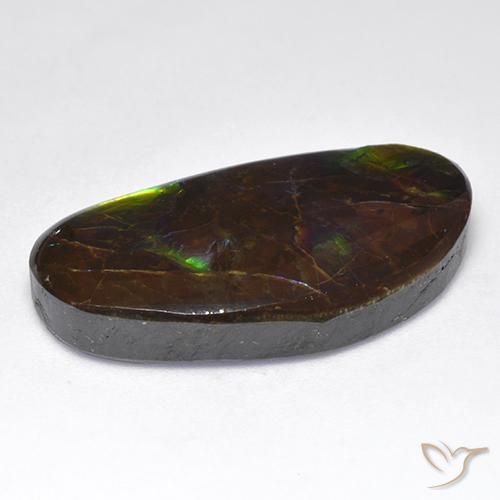 Ammolite Multicolore naturale da 16.71 ct, Taglio a fantasia, Opaco