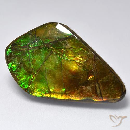19.12ct Naturale Multicolore Ammolite, Taglio a fantasia, Opaco