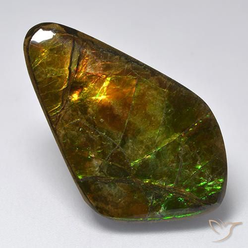 Ammolite Multicolore naturale da 19.12 ct, Taglio a fantasia, Opaco