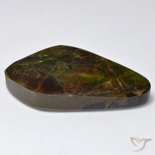 Ammolite Multicolore naturale da 19.12 ct, Taglio a fantasia, Opaco