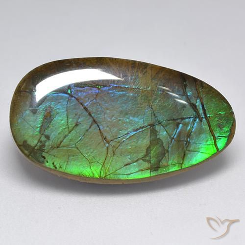 18.04ct Naturale Multicolore Ammolite, Taglio a fantasia, Opaco