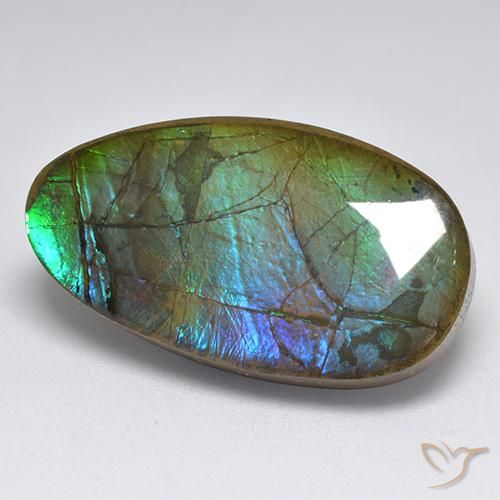 Ammolite Multicolore naturale da 18.04 ct, Taglio a fantasia, Opaco