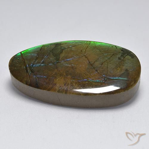 Ammolite Multicolore naturale da 18.04 ct, Taglio a fantasia, Opaco