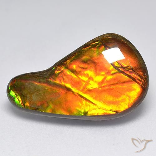 13.11ct Naturale Multicolore Ammolite, Taglio a fantasia, Opaco