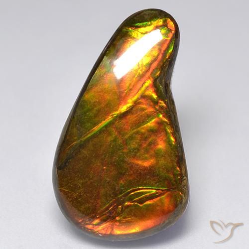 Ammolite Multicolore naturale da 13.11 ct, Taglio a fantasia, Opaco