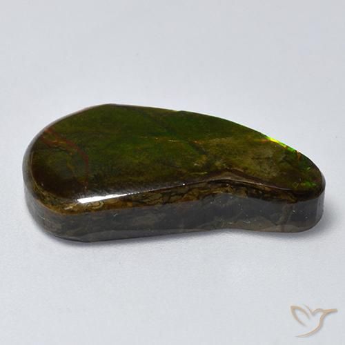 Ammolite Multicolore naturale da 13.11 ct, Taglio a fantasia, Opaco