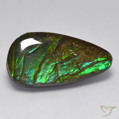 10.04ct Naturale Multicolore Ammolite, Taglio a fantasia, Opaco