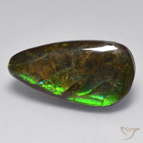 Ammolite Multicolore naturale da 10.04 ct, Taglio a fantasia, Opaco
