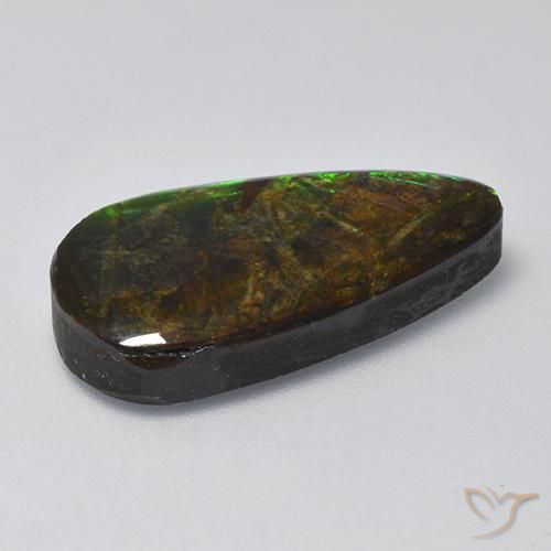 Ammolite Multicolore naturale da 10.04 ct, Taglio a fantasia, Opaco