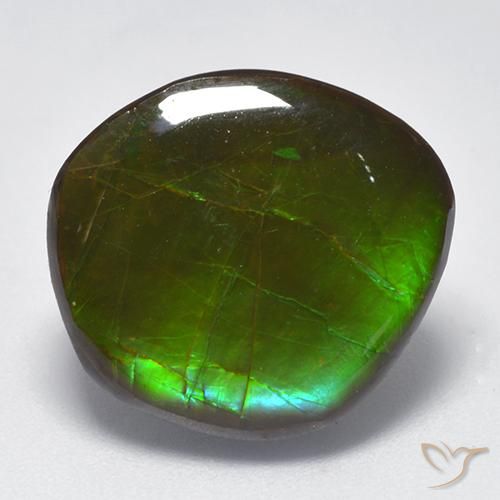 10.26ct Naturale Multicolore Ammolite, Taglio a fantasia, Opaco