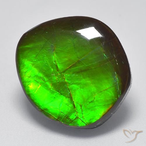 Ammolite Multicolore naturale da 10.26 ct, Taglio a fantasia, Opaco
