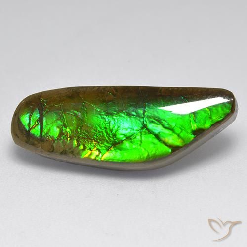 9.60ct Naturale Multicolore Ammolite, Taglio a fantasia, Opaco