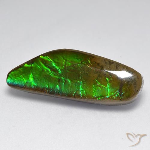Ammolite Multicolore naturale da 9.60 ct, Taglio a fantasia, Opaco