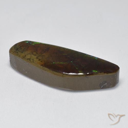 Ammolite Multicolore naturale da 9.60 ct, Taglio a fantasia, Opaco