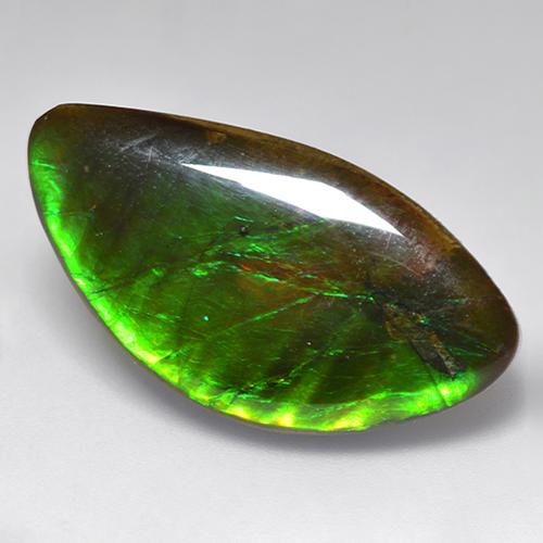 Ammolite naturale multicolore da 20,84 ct, forma fantasia, opaco