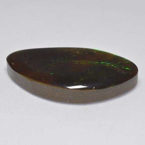 Ammolite naturale multicolore da 20,84 ct, forma fantasia, opaco