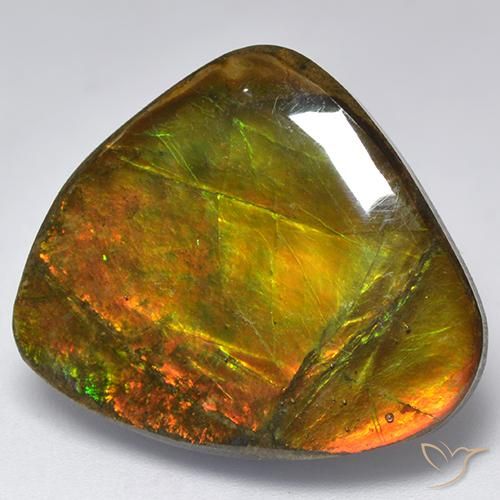 Ammolite Multicolore naturale da 18.32 ct, Taglio a fantasia, Opaco
