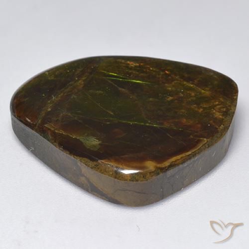 Ammolite Multicolore naturale da 18.32 ct, Taglio a fantasia, Opaco