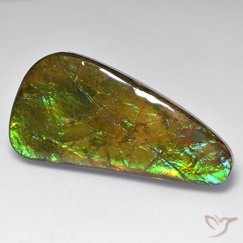 23.60ct Naturale Multicolore Ammolite, Taglio a fantasia, Opaco