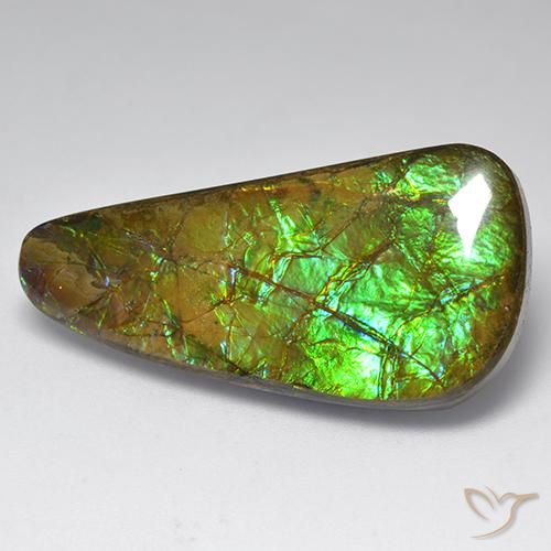 Ammolite Multicolore naturale da 23.60 ct, Taglio a fantasia, Opaco