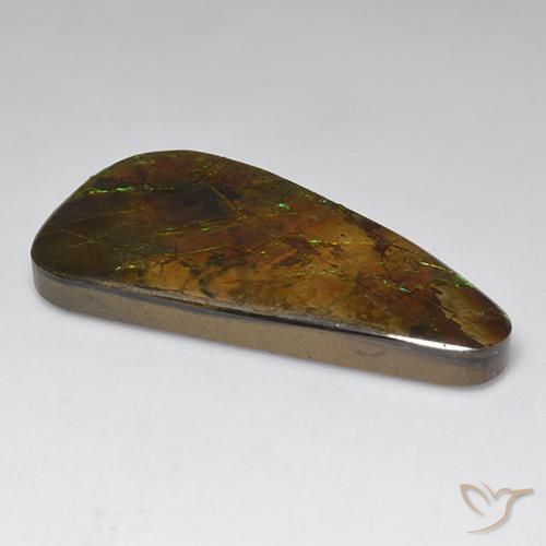 Ammolite Multicolore naturale da 23.60 ct, Taglio a fantasia, Opaco