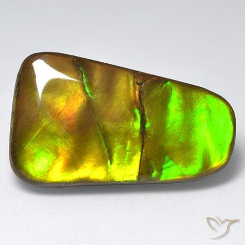 18.48ct Naturale Multicolore Ammolite, Taglio a fantasia, Opaco