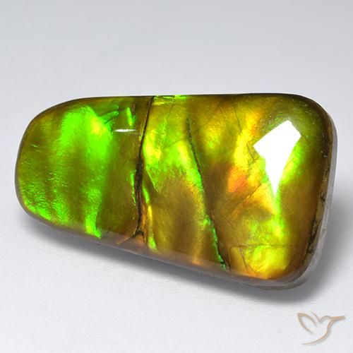 Ammolite Multicolore naturale da 18.48 ct, Taglio a fantasia, Opaco