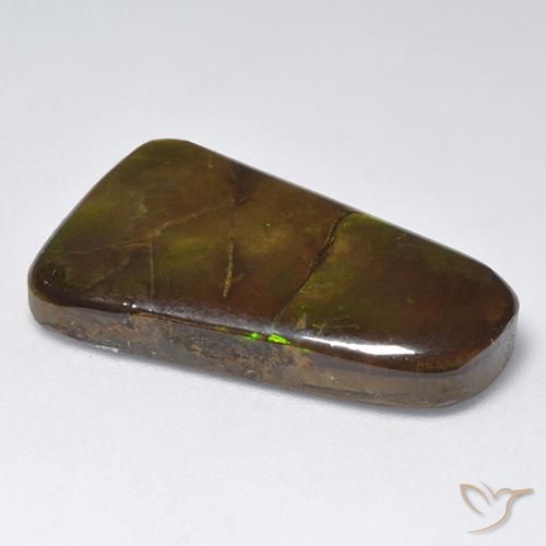 Ammolite Multicolore naturale da 18.48 ct, Taglio a fantasia, Opaco