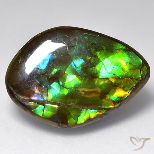 13.64ct Naturale Multicolore Ammolite, Taglio a fantasia, Opaco