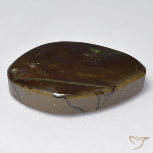 Ammolite Multicolore naturale da 13.64 ct, Taglio a fantasia, Opaco