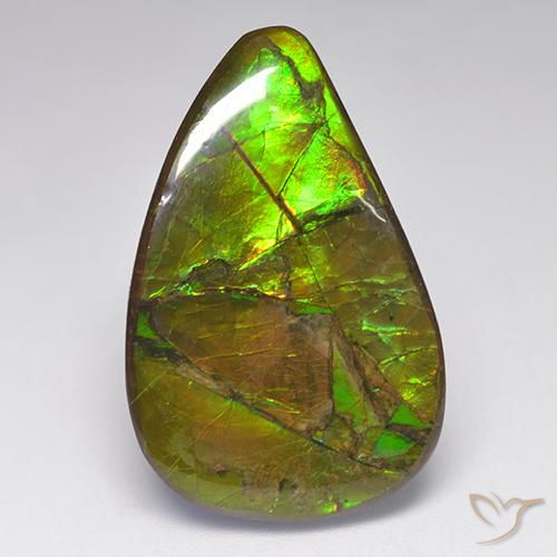 23.14ct Naturale Multicolore Ammolite, Taglio a fantasia, Opaco