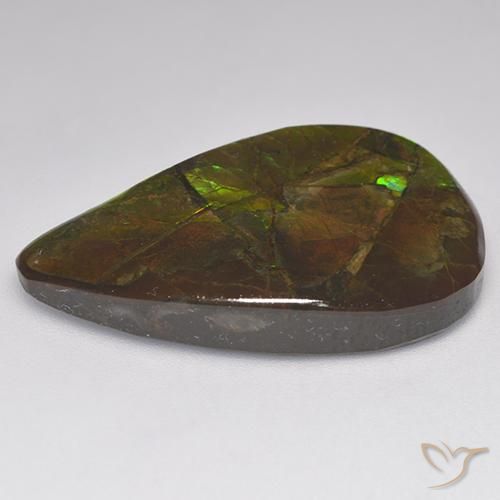 Ammolite Multicolore naturale da 23.14 ct, Taglio a fantasia, Opaco