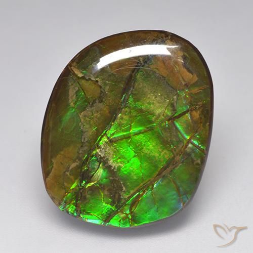 19.23ct Naturale Multicolore Ammolite, Taglio a fantasia, Opaco