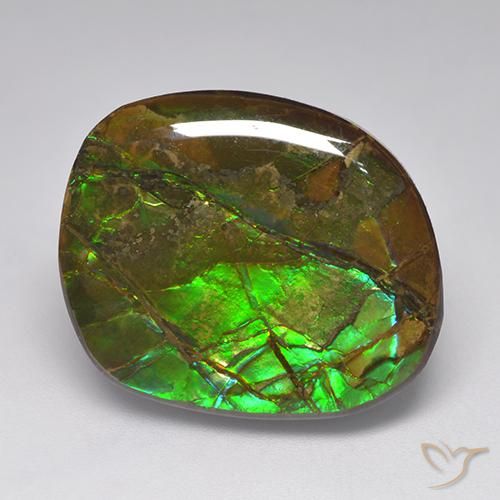 Ammolite Multicolore naturale da 19.23 ct, Taglio a fantasia, Opaco
