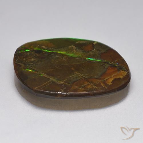 Ammolite Multicolore naturale da 19.23 ct, Taglio a fantasia, Opaco