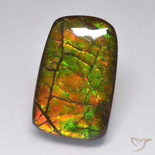 15.22ct Naturale Multicolore Ammolite, Taglio a fantasia, Opaco