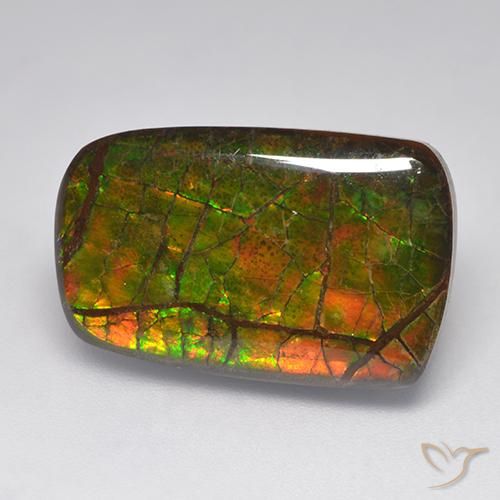 Ammolite Multicolore naturale da 15.22 ct, Taglio a fantasia, Opaco