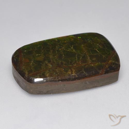 Ammolite Multicolore naturale da 15.22 ct, Taglio a fantasia, Opaco