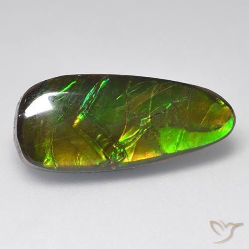 9.58ct Naturale Multicolore Ammolite, Taglio a fantasia, Opaco