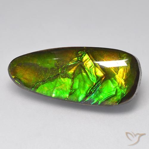 Ammolite Multicolore naturale da 9.58 ct, Taglio a fantasia, Opaco