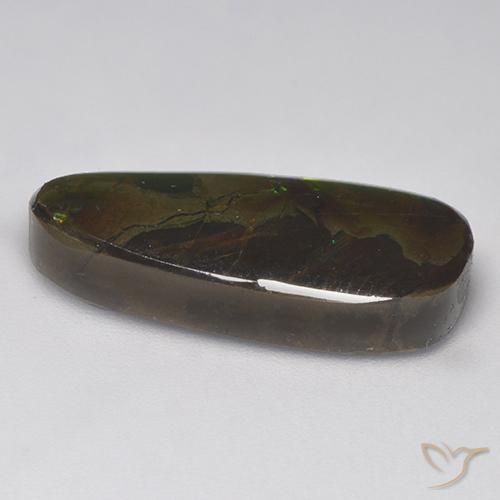 Ammolite Multicolore naturale da 9.58 ct, Taglio a fantasia, Opaco