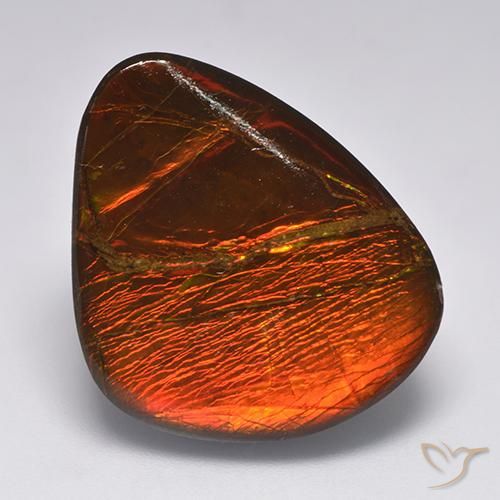 22.11ct Naturale Multicolore Ammolite, Taglio a fantasia, Opaco