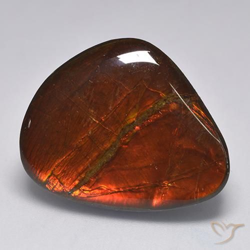 Ammolite Multicolore naturale da 22.11 ct, Taglio a fantasia, Opaco