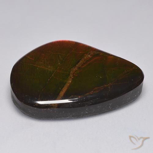 Ammolite Multicolore naturale da 22.11 ct, Taglio a fantasia, Opaco