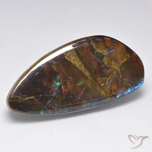 19.90ct Naturale Multicolore Ammolite, Taglio a fantasia, Opaco