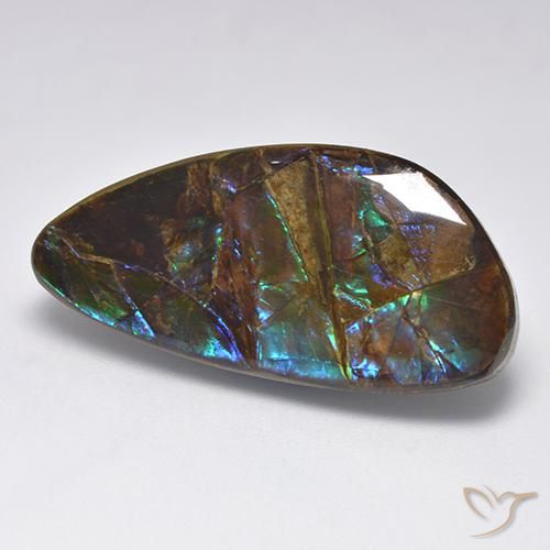 Ammolite Multicolore naturale da 19.90 ct, Taglio a fantasia, Opaco