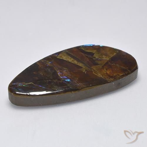 Ammolite Multicolore naturale da 19.90 ct, Taglio a fantasia, Opaco
