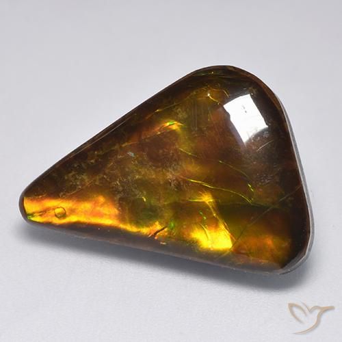 Ammolite Multicolore naturale da 14.34 ct, Taglio a fantasia, Opaco