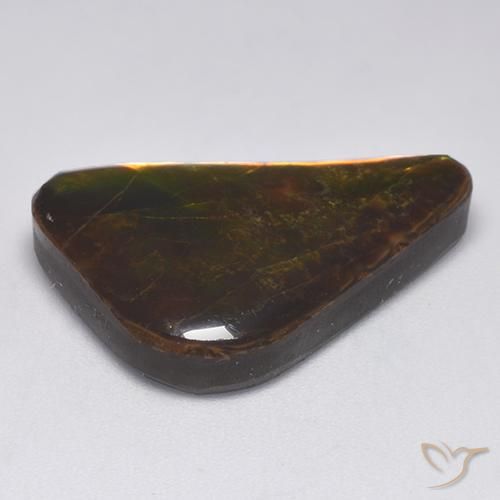 Ammolite Multicolore naturale da 14.34 ct, Taglio a fantasia, Opaco