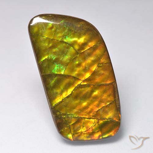 23.24ct Naturale Multicolore Ammolite, Taglio a fantasia, Opaco